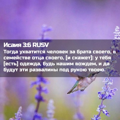 Picture 02 - Исаия 3:6 RUSV - Тогда ухватится человек за - Bible Verse Picture