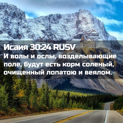 Picture 02 - Исаия 30:24 RUSV - И волы и ослы, - Bible Verse Picture