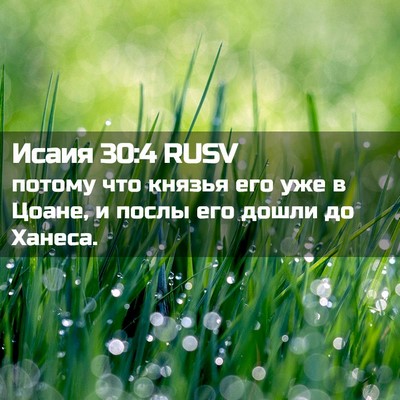 Picture 02 - Исаия 30:4 RUSV - потому что князья его уже в - Bible Verse Picture