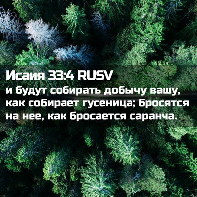 Picture 02 - Исаия 33:4 RUSV - и будут собирать добычу - Bible Verse Picture