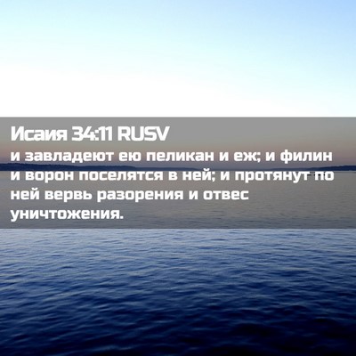 Picture 02 - Исаия 34:11 RUSV - и завладеют ею пеликан и - Bible Verse Picture