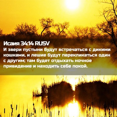 Picture 02 - Исаия 34:14 RUSV - И звери пустыни будут - Bible Verse Picture