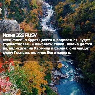 Picture 02 - Исаия 35:2 RUSV - великолепно будет цвести и - Bible Verse Picture