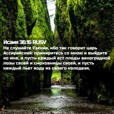 Picture 02 - Исаия 36:16 RUSV - Не слушайте Езекии, ибо так - Bible Verse Picture