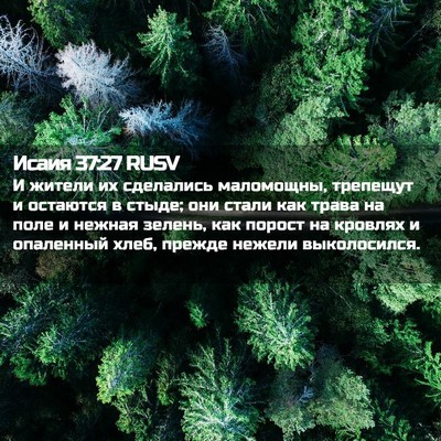Picture 02 - Исаия 37:27 RUSV - И жители их сделались - Bible Verse Picture