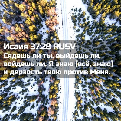 Picture 02 - Исаия 37:28 RUSV - Сядешь ли ты, выйдешь ли, - Bible Verse Picture