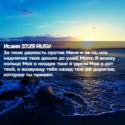 Picture 02 - Исаия 37:29 RUSV - За твою дерзость против - Bible Verse Picture