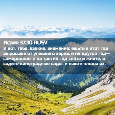 Picture 02 - Исаия 37:30 RUSV - И вот, тебе, Езекия, - Bible Verse Picture