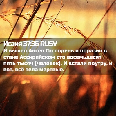 Picture 02 - Исаия 37:36 RUSV - И вышел Ангел Господень и - Bible Verse Picture