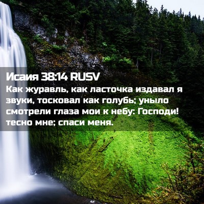 Picture 02 - Исаия 38:14 RUSV - Как журавль, как ласточка - Bible Verse Picture