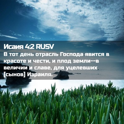 Picture 02 - Исаия 4:2 RUSV - В тот день отрасль Господа - Bible Verse Picture