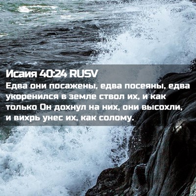 Picture 02 - Исаия 40:24 RUSV - Едва они посажены, едва - Bible Verse Picture
