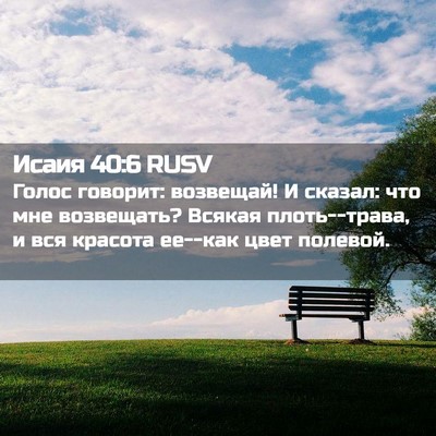 Picture 02 - Исаия 40:6 RUSV - Голос говорит: возвещай! И - Bible Verse Picture