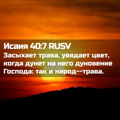 Picture 02 - Исаия 40:7 RUSV - Засыхает трава, увядает - Bible Verse Picture