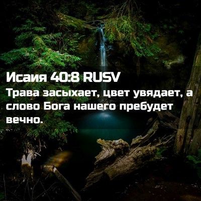 Picture 02 - Исаия 40:8 RUSV - Трава засыхает, цвет - Bible Verse Picture