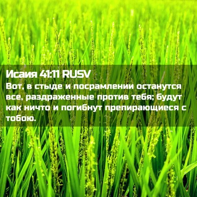 Picture 02 - Исаия 41:11 RUSV - Вот, в стыде и посрамлении - Bible Verse Picture