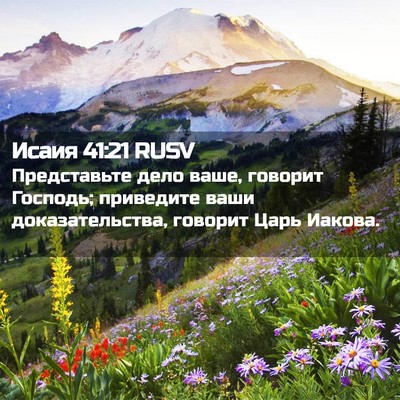 Picture 02 - Исаия 41:21 RUSV - Представьте дело ваше, - Bible Verse Picture