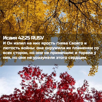 Picture 02 - Исаия 42:25 RUSV - И Он излил на них ярость - Bible Verse Picture