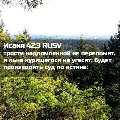 Picture 02 - Исаия 42:3 RUSV - трости надломленной не - Bible Verse Picture