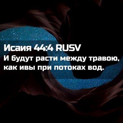 Picture 02 - Исаия 44:4 RUSV - И будут расти между травою, - Bible Verse Picture