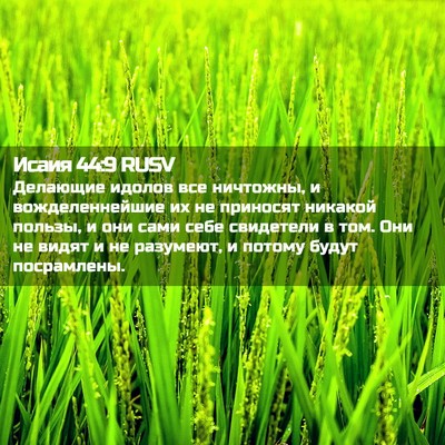 Picture 02 - Исаия 44:9 RUSV - Делающие идолов все - Bible Verse Picture