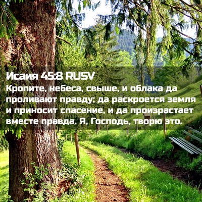 Picture 02 - Исаия 45:8 RUSV - Кропите, небеса, свыше, и - Bible Verse Picture
