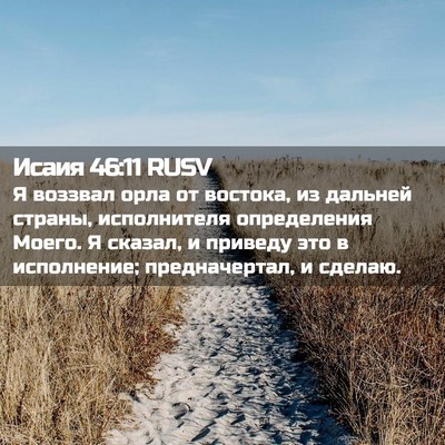 Picture 02 - Исаия 46:11 RUSV - Я воззвал орла от востока, - Bible Verse Picture