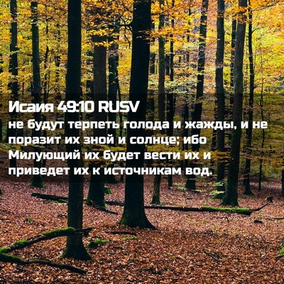 Picture 02 - Исаия 49:10 RUSV - не будут терпеть голода и - Bible Verse Picture