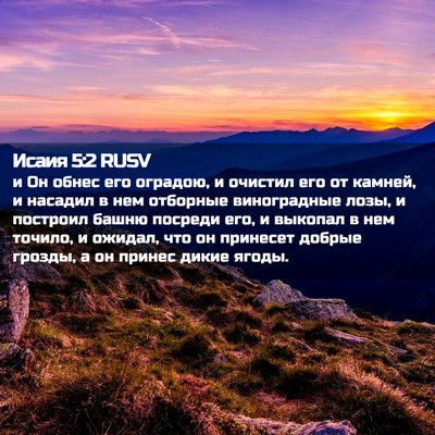 Picture 02 - Исаия 5:2 RUSV - и Он обнес его оградою, и - Bible Verse Picture
