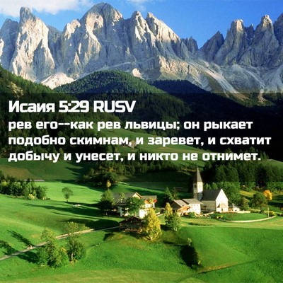 Picture 02 - Исаия 5:29 RUSV - рев его--как рев львицы; он - Bible Verse Picture