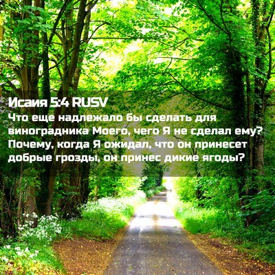 Picture 02 - Исаия 5:4 RUSV - Что еще надлежало бы - Bible Verse Picture