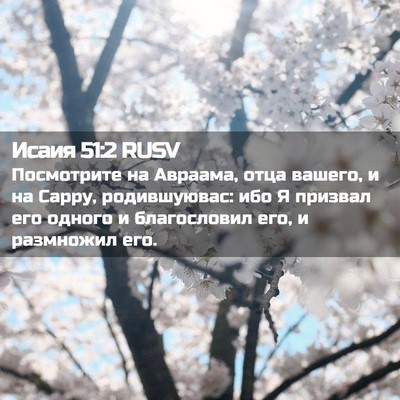 Picture 02 - Исаия 51:2 RUSV - Посмотрите на Авраама, - Bible Verse Picture
