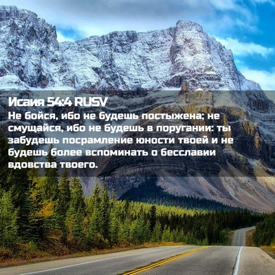 Picture 02 - Исаия 54:4 RUSV - Не бойся, ибо не будешь - Bible Verse Picture