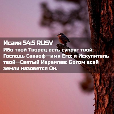 Picture 02 - Исаия 54:5 RUSV - Ибо твой Творец есть - Bible Verse Picture