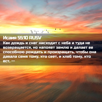 Picture 02 - Исаия 55:10 RUSV - Как дождь и снег нисходит с - Bible Verse Picture