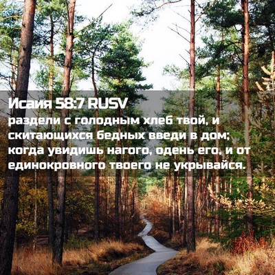 Picture 02 - Исаия 58:7 RUSV - раздели с голодным хлеб - Bible Verse Picture