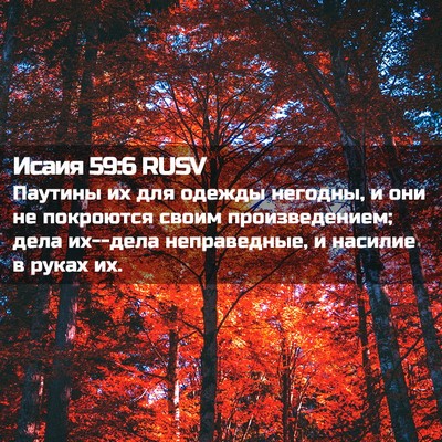 Picture 02 - Исаия 59:6 RUSV - Паутины их для одежды - Bible Verse Picture