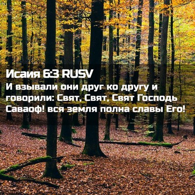 Picture 02 - Исаия 6:3 RUSV - И взывали они друг ко другу - Bible Verse Picture