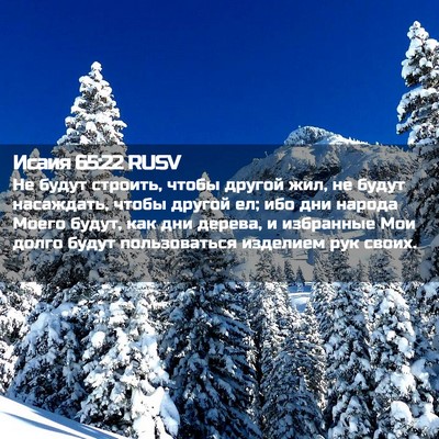 Picture 02 - Исаия 65:22 RUSV - Не будут строить, чтобы - Bible Verse Picture