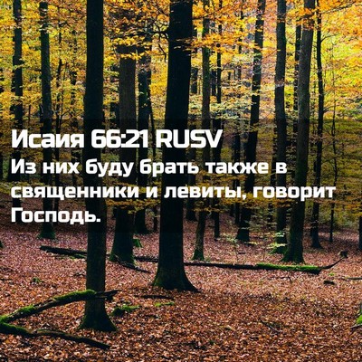 Picture 02 - Исаия 66:21 RUSV - Из них буду брать также в - Bible Verse Picture