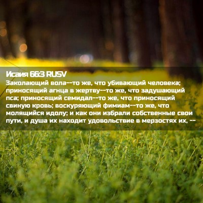 Picture 02 - Исаия 66:3 RUSV - Заколающий вола--то же, что - Bible Verse Picture
