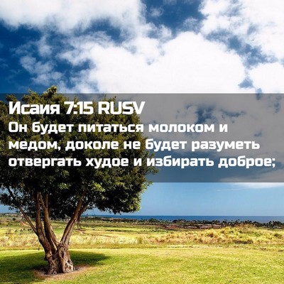 Picture 02 - Исаия 7:15 RUSV - Он будет питаться молоком - Bible Verse Picture