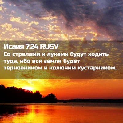 Picture 02 - Исаия 7:24 RUSV - Со стрелами и луками будут - Bible Verse Picture