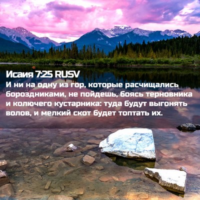 Picture 02 - Исаия 7:25 RUSV - И ни на одну из гор, которые - Bible Verse Picture