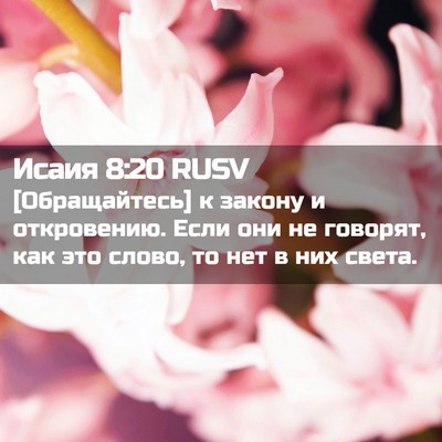 Picture 02 - Исаия 8:20 RUSV - [Обращайтесь] к закону и - Bible Verse Picture