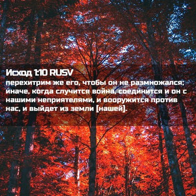 Picture 02 - Исход 1:10 RUSV - перехитрим же его, чтобы он - Bible Verse Picture