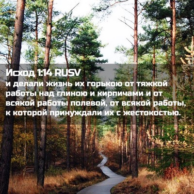 Picture 02 - Исход 1:14 RUSV - и делали жизнь их горькою - Bible Verse Picture