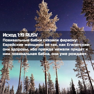 Picture 02 - Исход 1:19 RUSV - Повивальные бабки сказали - Bible Verse Picture