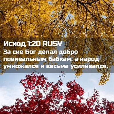 Picture 02 - Исход 1:20 RUSV - За сие Бог делал добро - Bible Verse Picture