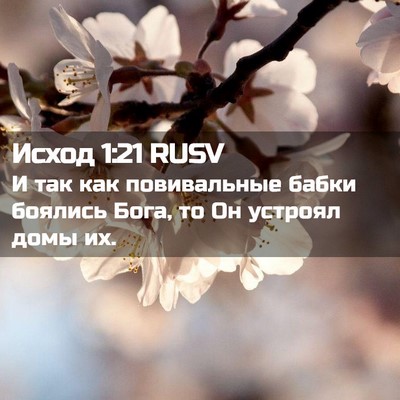 Picture 02 - Исход 1:21 RUSV - И так как повивальные - Bible Verse Picture